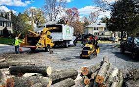 Best Lawn Renovation and Restoration  in Littlestown, PA