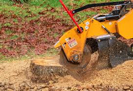 Best Aeration Services  in Littlestown, PA